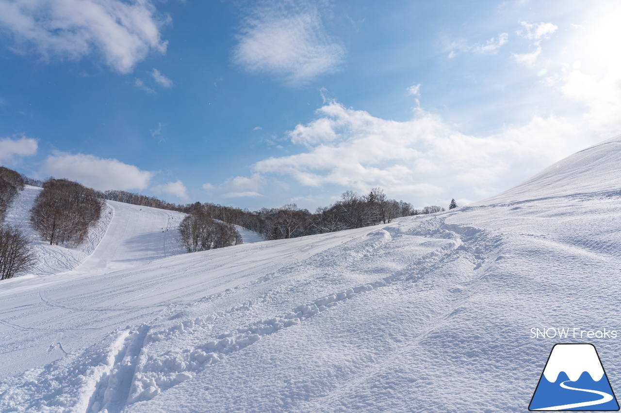 増毛町営暑寒別岳スキー場｜なんと、現在の積雪は、驚異の「280cm」！豪雪当たり年の暑寒別岳スキー場、最高です。